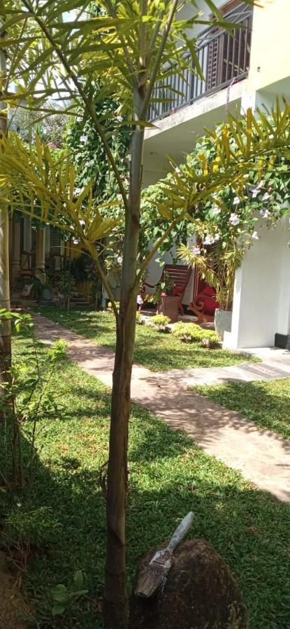 ヒッカドゥワ Mandara Rest Bed & Breakfast エクステリア 写真