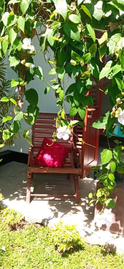 ヒッカドゥワ Mandara Rest Bed & Breakfast エクステリア 写真