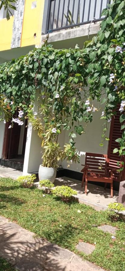 ヒッカドゥワ Mandara Rest Bed & Breakfast エクステリア 写真
