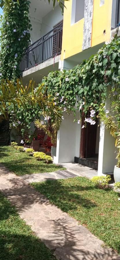 ヒッカドゥワ Mandara Rest Bed & Breakfast エクステリア 写真