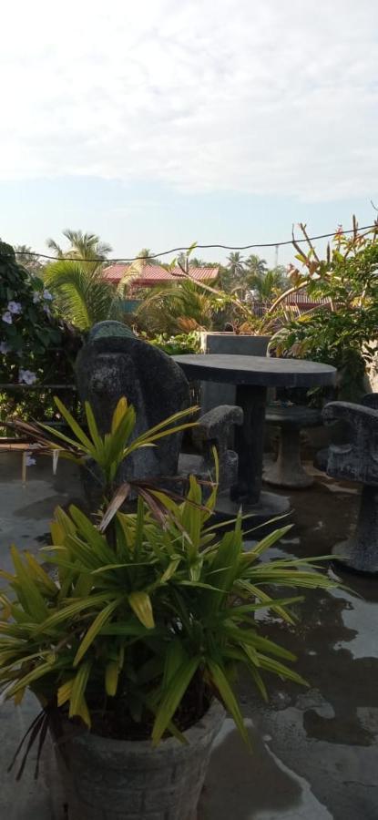 ヒッカドゥワ Mandara Rest Bed & Breakfast エクステリア 写真