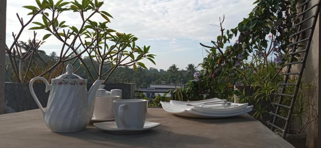 ヒッカドゥワ Mandara Rest Bed & Breakfast エクステリア 写真