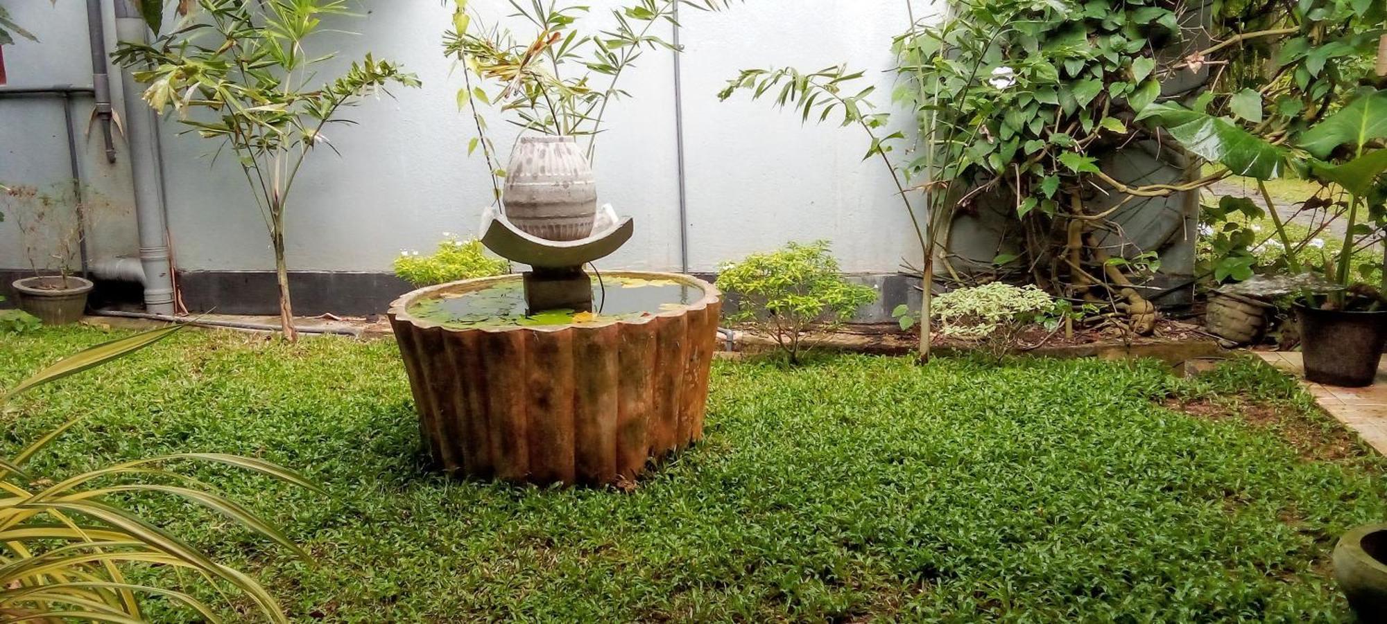 ヒッカドゥワ Mandara Rest Bed & Breakfast 部屋 写真
